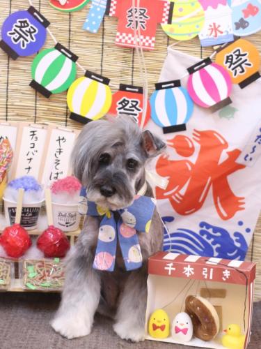 20240720ティノくん